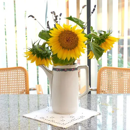 Lägenhet Spreewald Pur *