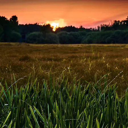 Spreewald Pur *
