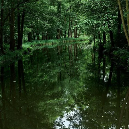 Apartment Spreewald Pur Stennewitz